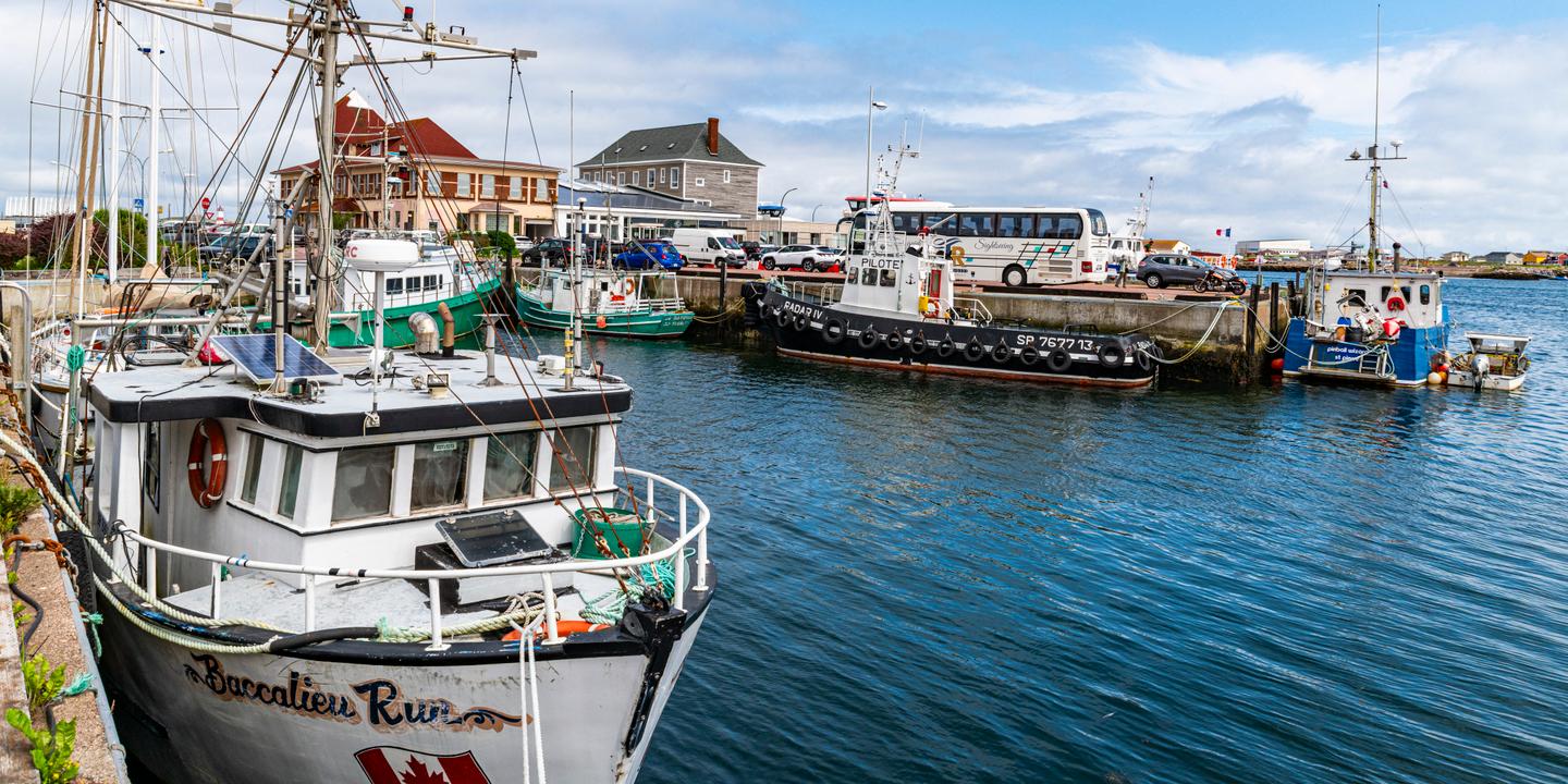 À Miquelon, la coopérative 47°Nord mise sur la transformation pour sauver la pêche