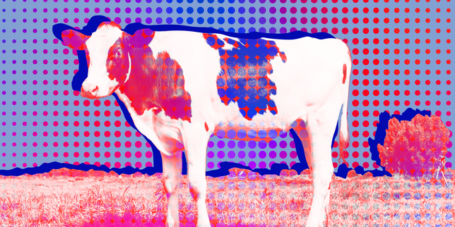 Bretagna: le municipalità spengono la bandiera UE per sostenere l’agricoltura locale