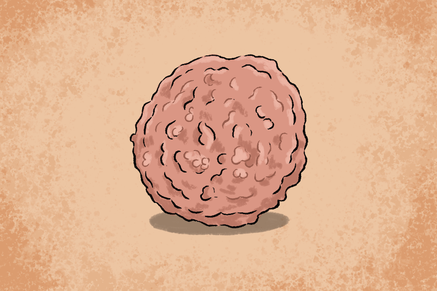 Un « minifoie » en 3D pour tester la toxicité des aliments