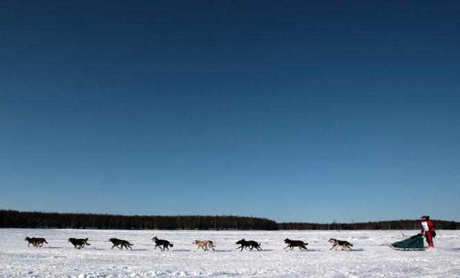 Lance Mackey, mène son attelage sur le lac de Willow, à l’occasion du coup d’envoi officiel de la 35ᵉ édition de l’Iditarod, à Willow, en Alaska (Etats-Unis), le 4&nbsp;mars 2007. 