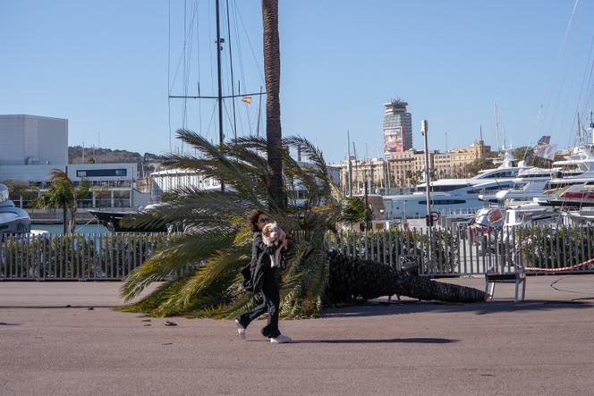 A Barcelone (Espagne), après le passage de la tempête Nils, le 12 février 2026.