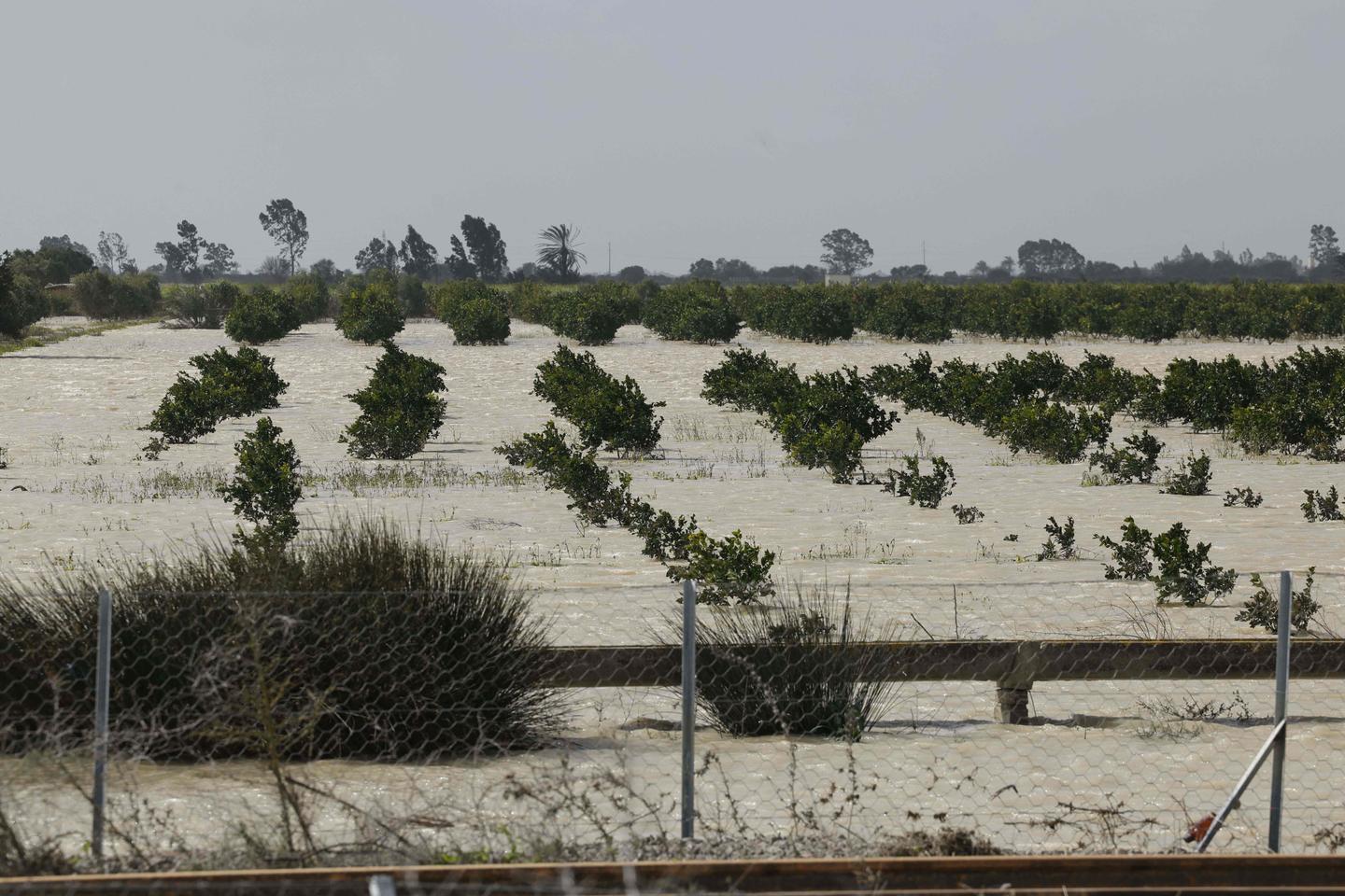 « Ce n’est pas la Suisse, mais presque » : au Maroc, l’espoir des agriculteurs après des pluies abondantes « Ce n’est pas la Suisse, mais presque » : au Maroc, l’espoir des agriculteurs après des pluies abondantes