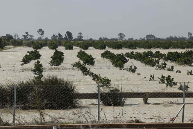 Un champ submergé par les eaux dans la région de Sidi Slimane, au nord-ouest du Maroc, le 13 février 2026.