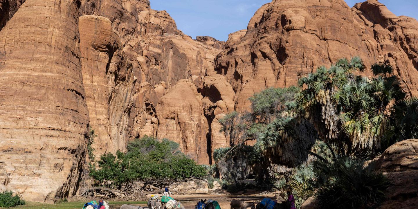 Le touriste français de 70 ans disparu au Tchad a été retrouvé mort