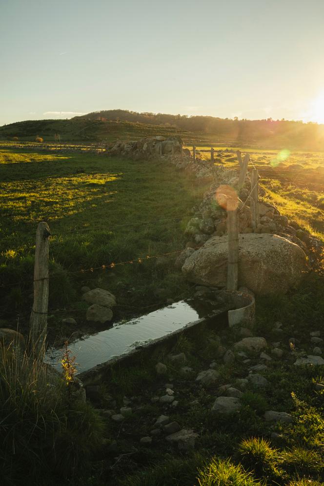 Spring water flows from a pipe to fill the trough located on the Maïté Tichet plot. The rocks of the Aubrac plateau, once laid by the ancients, are used to demarcate the plots.
