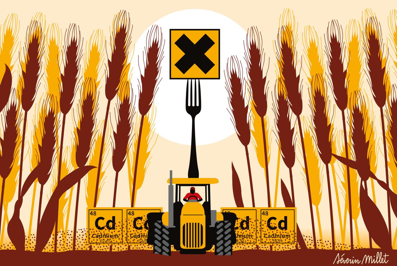 Cadmium : huit mois après l’alerte des médecins sur la « bombe sanitaire », la France n’a toujours pas adapté sa réglementation