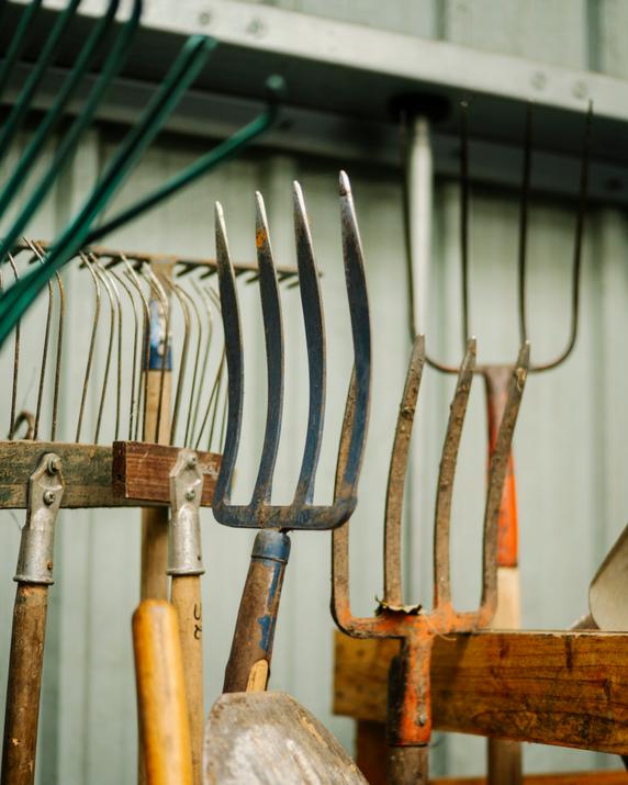 Le hangar des jardiniers municipaux, à Montreuil (Seine-Saint-Denis), le 26 janvier 2026.