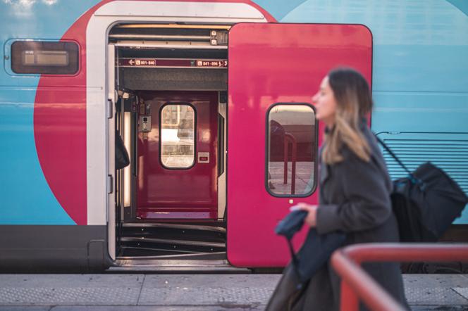 Un TGV Ouigo à la gare Saint-Charles, à Marseille, le 30 janvier 2023.