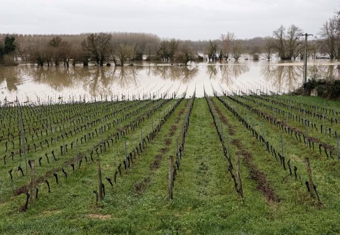 Une zone inondée à Cadillac-sur-Garonne (Gironde), le 17 février 2026. 