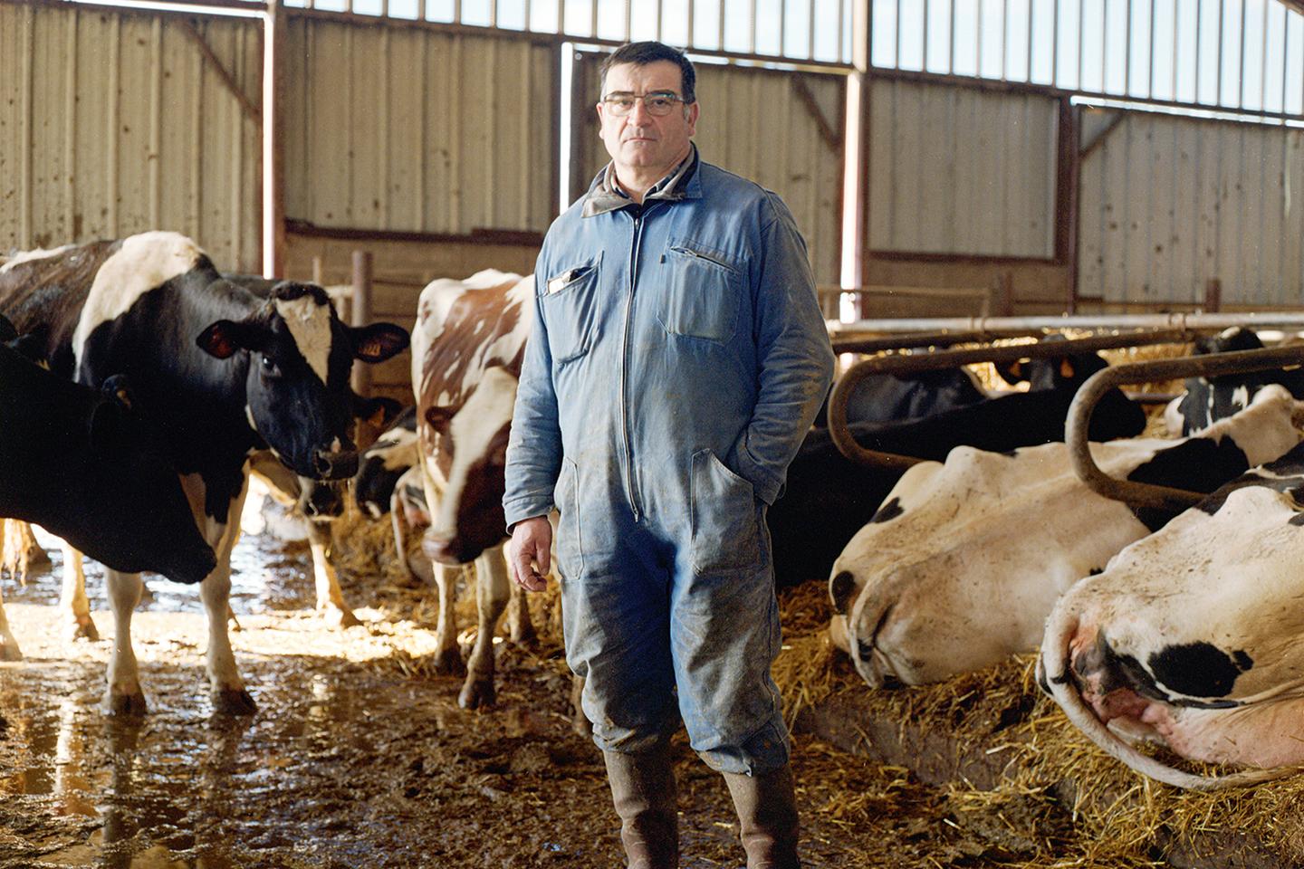 Dans le Lot-et-Garonne, le désarroi des éleveurs de bovins, confrontés depuis près de vingt ans à l’abattage régulier de leur troupeau Dans le Lot-et-Garonne, le désarroi des éleveurs de bovins, confrontés depuis près de vingt ans à l’abattage régulier de leur troupeau