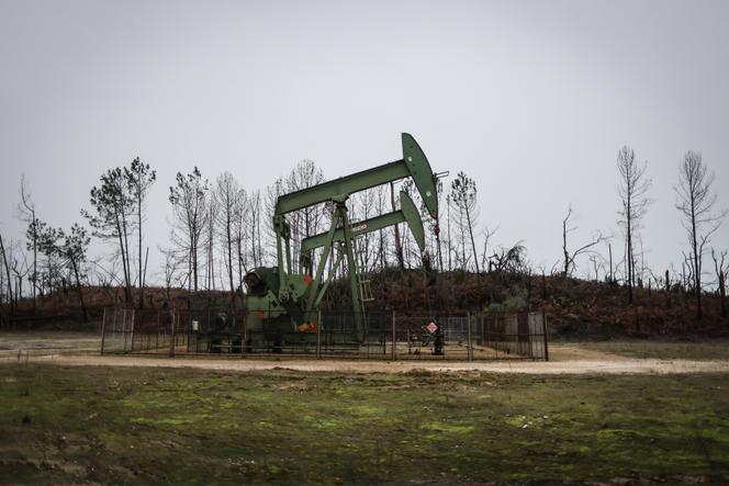 Un forage pétrolier actif appartenant à la société canadienne Vermilion, dans la forêt de Cazaux, à La Teste-de-Buch (Gironde), le 9 décembre 2023.