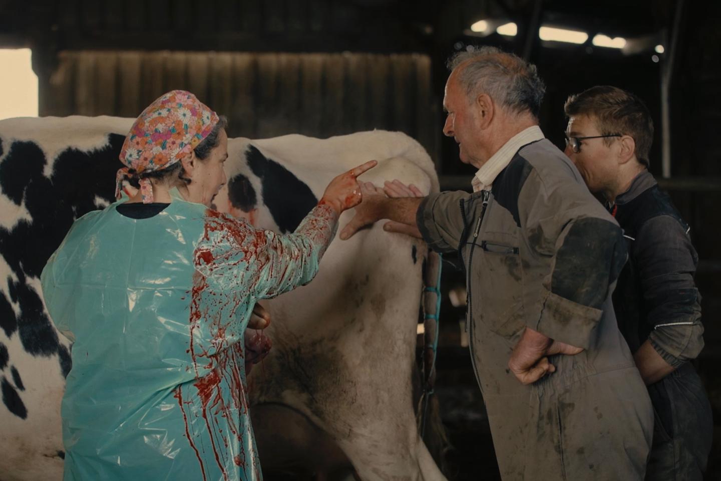 « Véto de campagne », sur France.tv : entre le portrait et le reportage, un documentaire sans fard sur le métier « Véto de campagne », sur France.tv : entre le portrait et le reportage, un documentaire sans fard sur le métier