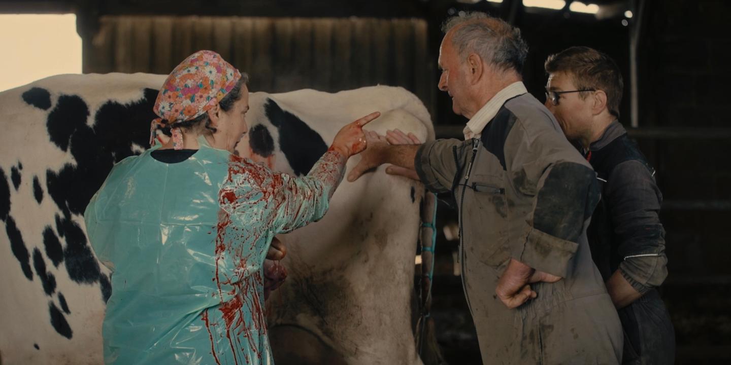 Amélie Jolivel, vétérinaire rurale, dévoile l'intimité du monde paysan dans un documentaire