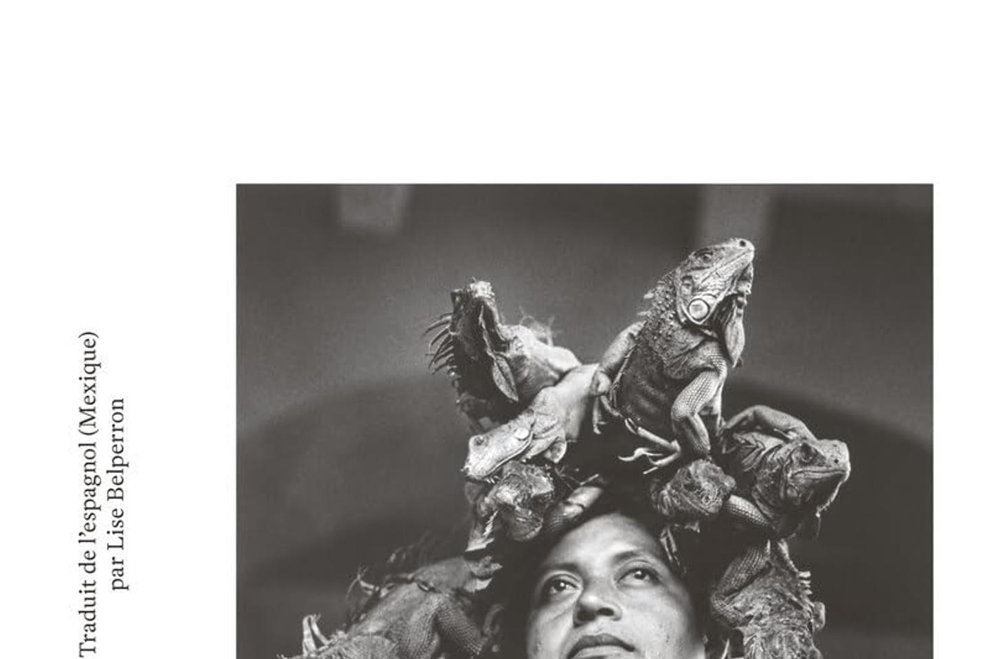 Notre sélection de livres cette semaine : « Une forêt », « La Vie à la lisière, « Un séisme », « Mexico Médée »… Notre sélection de livres cette semaine : « Une forêt », « La Vie à la lisière, « Un séisme », « Mexico Médée »…