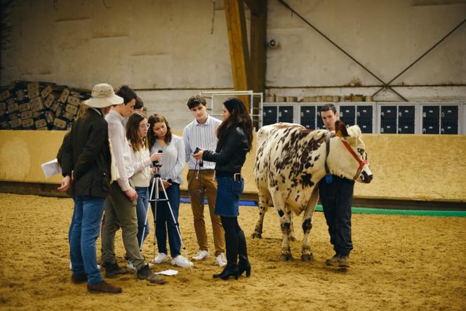 Des élèves préparent une vidéo qui se substitue à l’épreuve du Trophée de l’enseignement agricole, laquelle devait se tenir au Salon de l’agriculture. Au lycée agricole et agroalimentaire d'Yvetot (Seine-Maritime), le 12 février 2026. 
