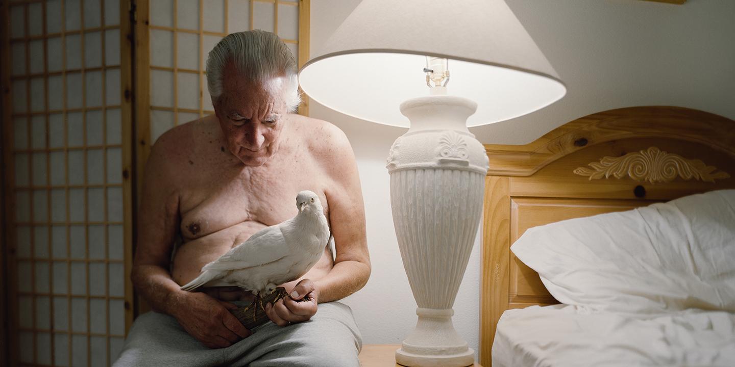 Alana Perino capture le deuil en Floride dans « Pictures of Birds »