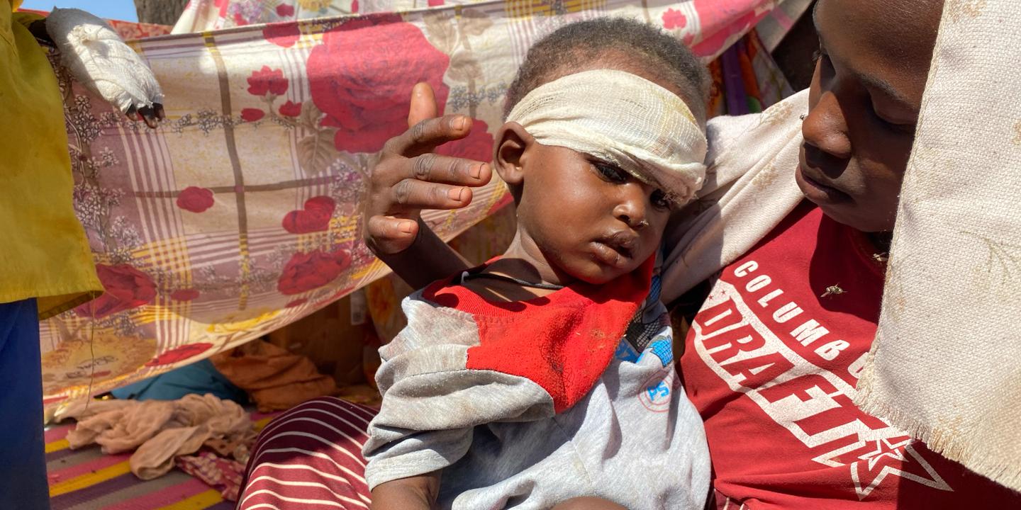 Soudan : une mission d’enquête de l’ONU dénonce des actes de « génocide » à El-Fasher ; Washington annonce des sanctions