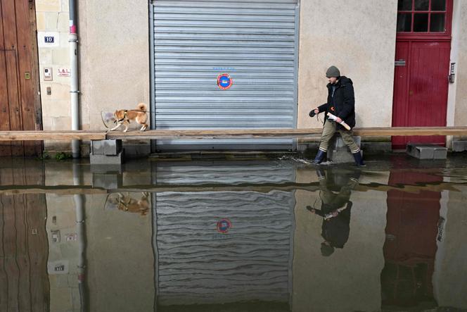 A Angers, le 20 février 2026.DAMIEN MEYER / AFP