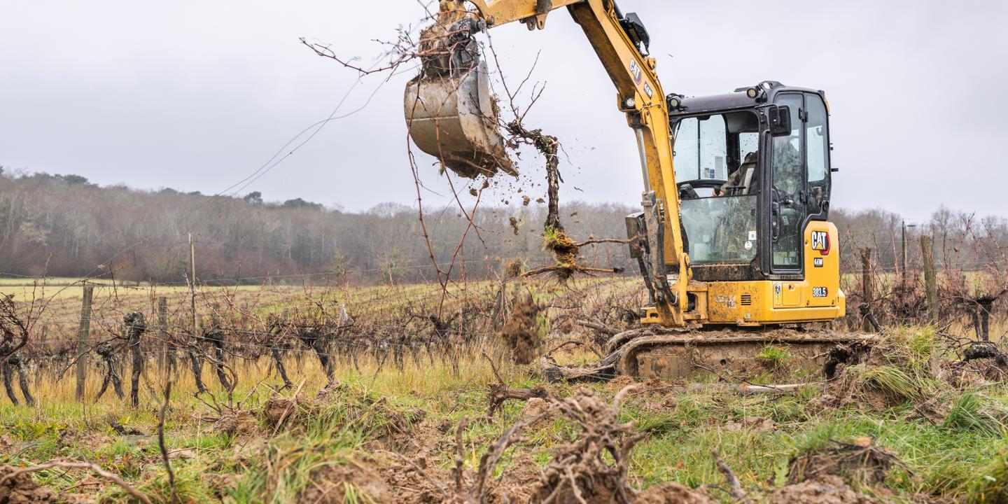 Plan d'urgence agricole : 300 millions d'euros pour soutenir les filières en crise