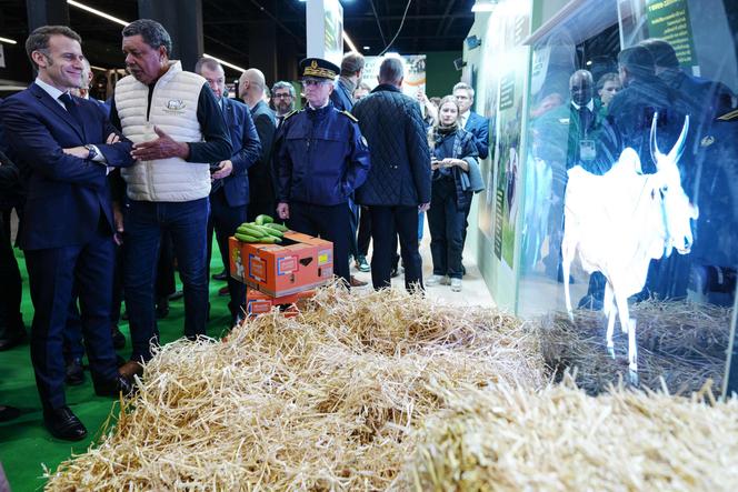 Le président français, Emmanuel Macron, s’entretient avec André Prosper, éleveur français de bovins Brahman originaire de Martinique, sur le stand qui devait accueillir sa vache Biguine, choisie comme mascotte de l’édition 2026&nbsp;du Salon de l’agriculture, lors de l’inauguration du salon à Paris Expo Porte de Versailles, à Paris, le 21&nbsp;février&nbsp;2026.