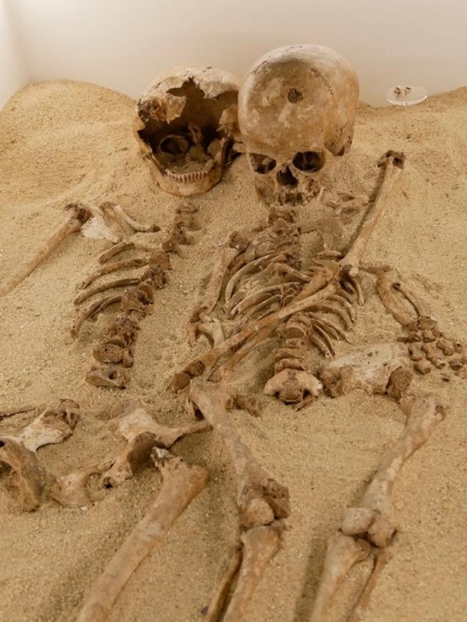 La Grotta del Romito abritait une double sépulture avec deux individus enlacés.