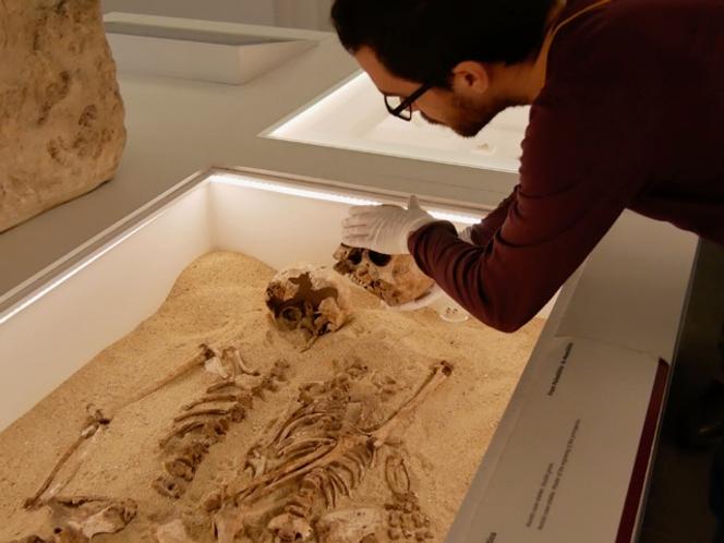 Daniel Fernandes, premier auteur de l’étude&nbsp;, s’apprête à prélever un échantillon sur le squelette de Romito 2.