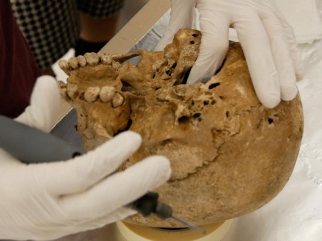 Vue du crâne de l’adolescente Romito 2.