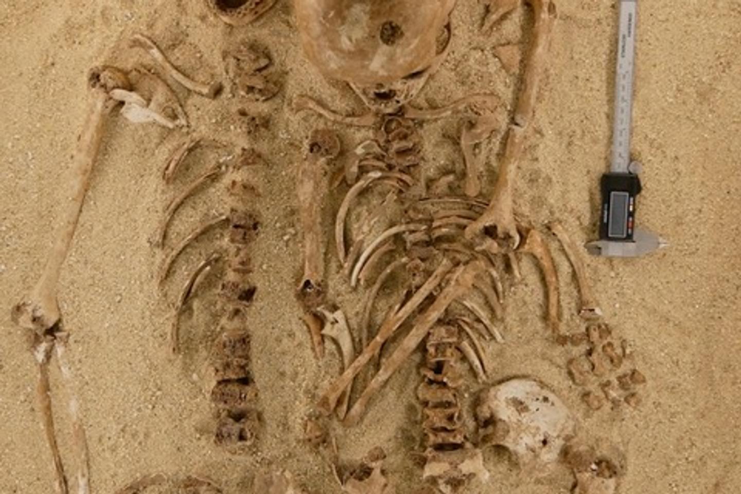 La génétique résout 12 000 ans plus tard un cold case du Paléolithique La génétique résout 12 000 ans plus tard un cold case du Paléolithique