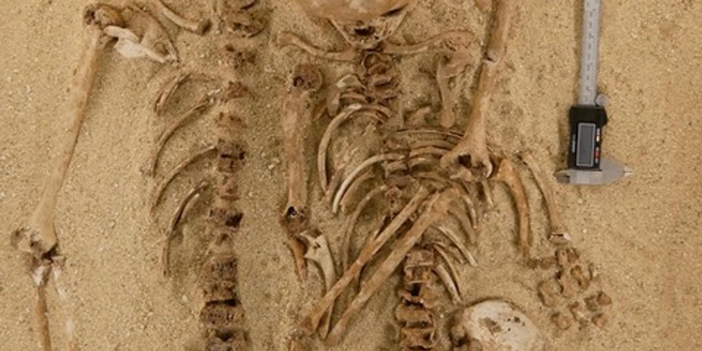 Découverte génétique : une double sépulture de 12 000 ans révèle la plus ancienne maladie rare