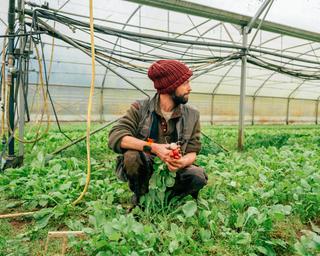 Julien Ermel, salarié en maraîchage à la ferme de la Villeneuve, à Plénée-Jugon (Côtes-d’Armor), le 13 février 2026.