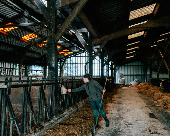 A la ferme des Ty Breizh, à Merillac (Côtes-d’Armor), le 13 février 2026.