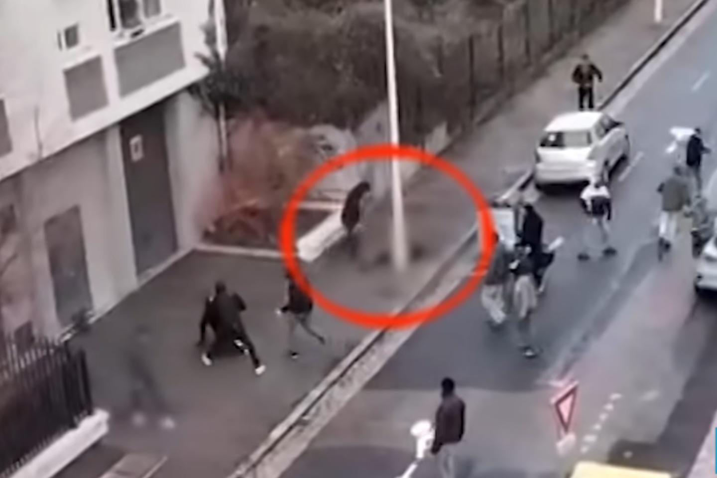 A Lyon, la mort de Quentin Deranque révèle la violente radicalisation d’une génération de militants antifascistes