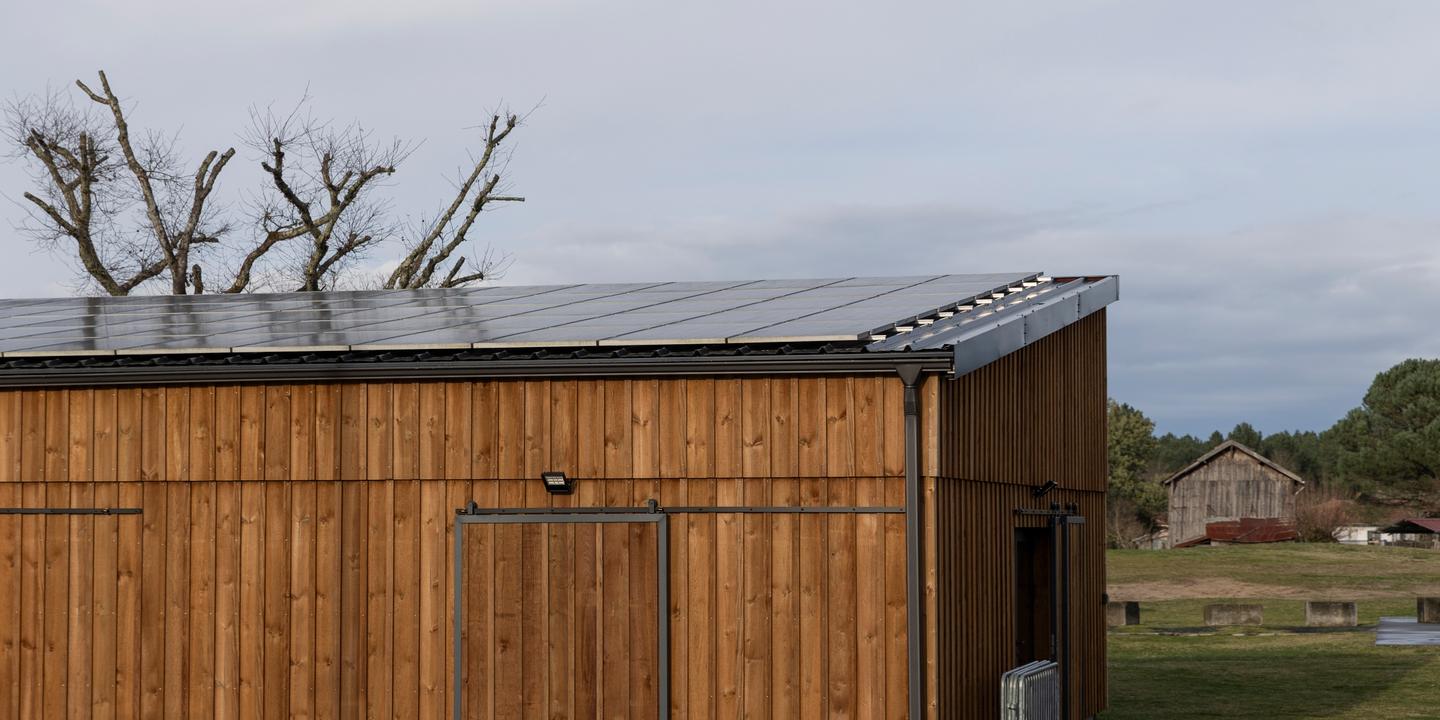 posez vos questions à nos journalistes sur la place de la transition écologique et de la protection de l’environnement dans la campagne
