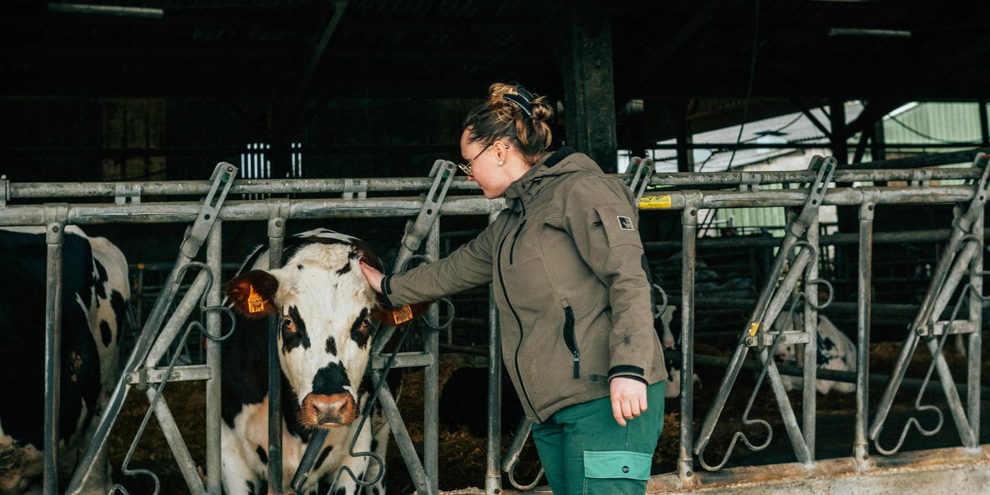 Salariés agricoles : l'ombre des champs, un million de travailleurs invisibles