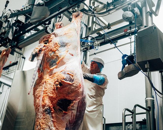 Dans l’abattoir du Trégor, à Plounévez-Moëdec (Côte-d’Armor), le 10&nbsp;février&nbsp;2026.