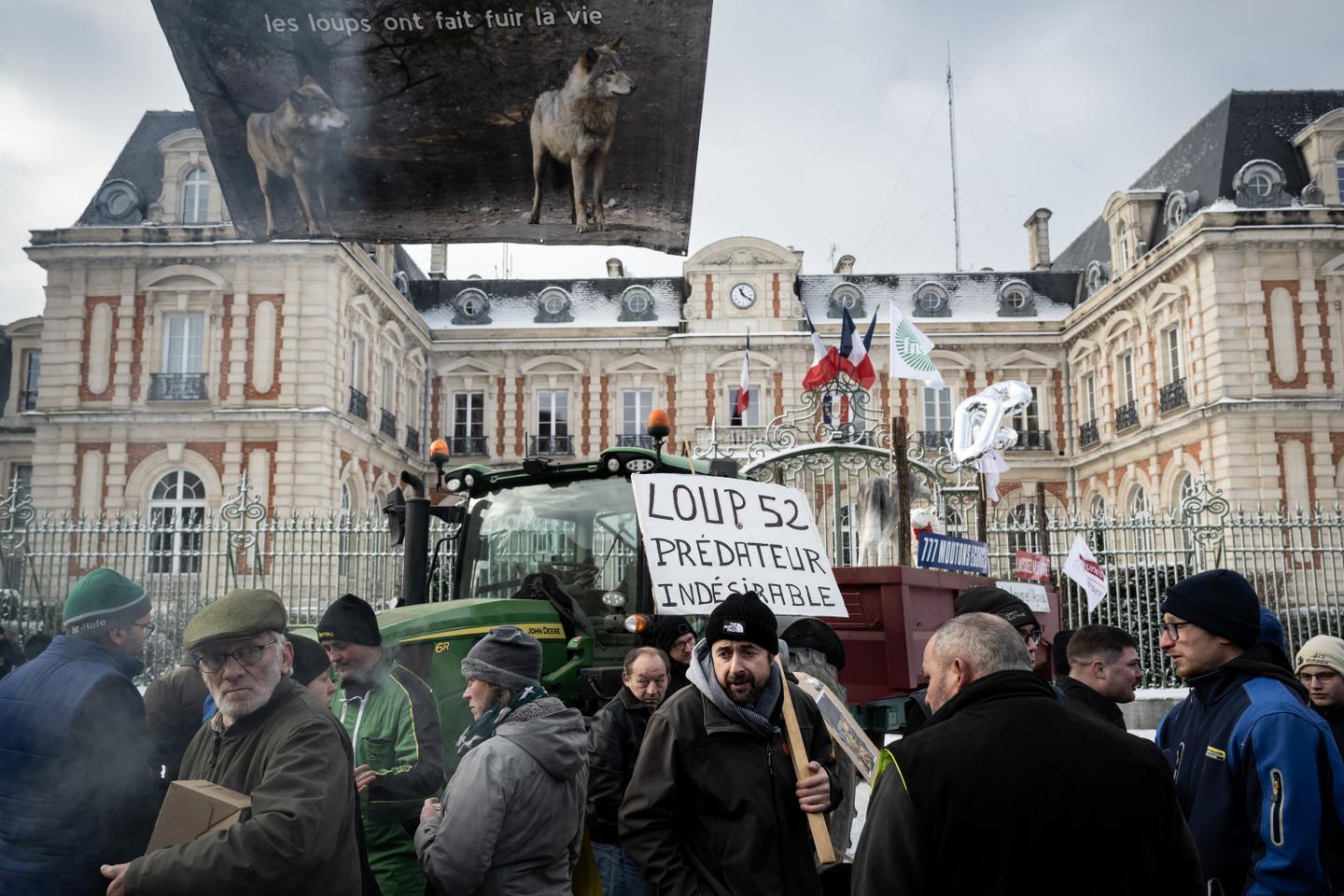 Le nombre maximum de loups pouvant être abattus en France augmenté, sous la pression des syndicats agricoles Le nombre maximum de loups pouvant être abattus en France augmenté, sous la pression des syndicats agricoles