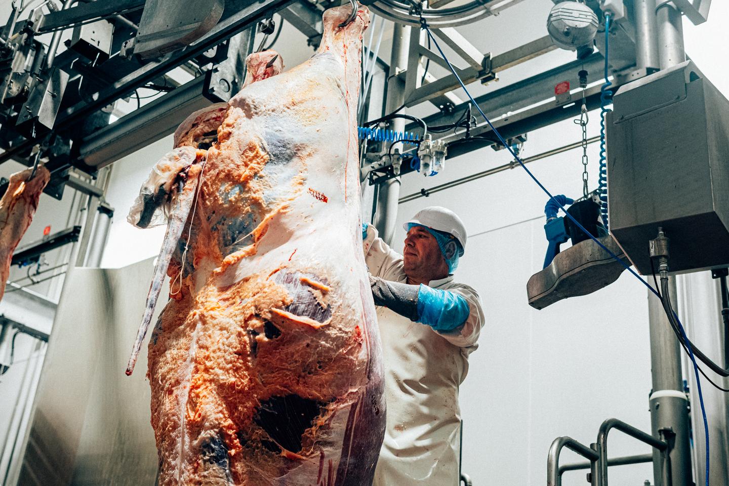 En Bretagne, la fermeture des petits abattoirs illustre « le processus d’industrialisation et de rationalisation » En Bretagne, la fermeture des petits abattoirs illustre « le processus d’industrialisation et de rationalisation »