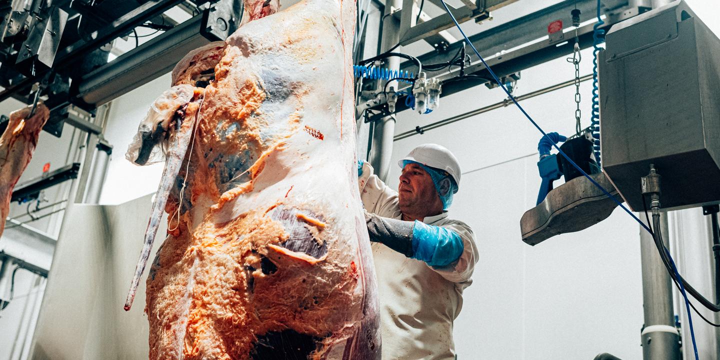 L'abattoir de Vannes placé en redressement judiciaire, symbole du déclin des petites structures