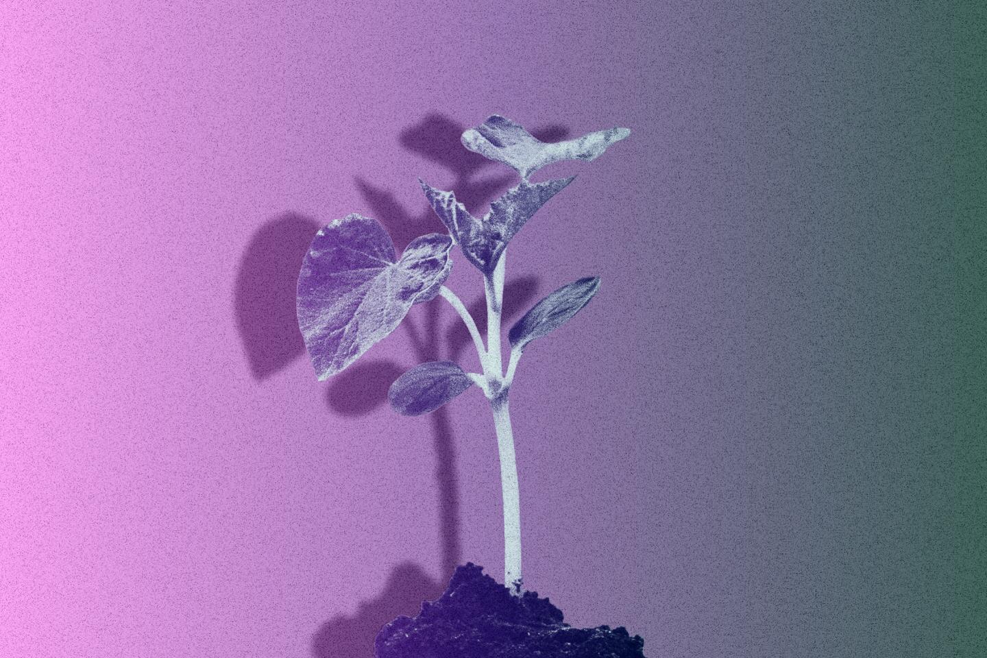 « Le débat sur les pesticides doit devenir citoyen, médiatique et quotidien »