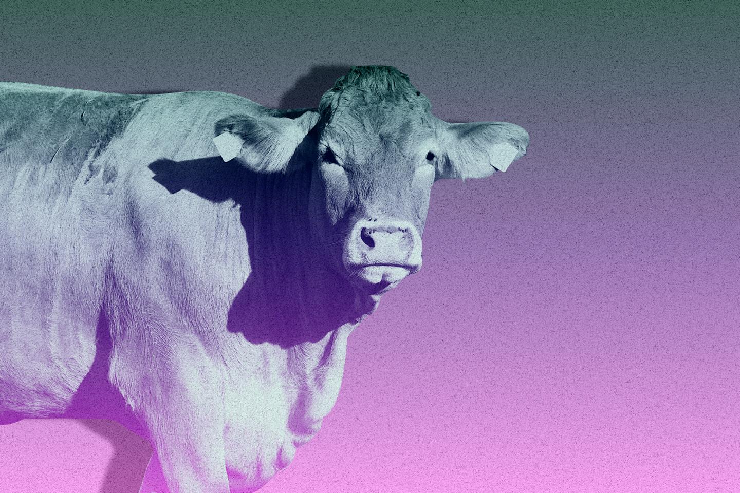 Cadmium : « A force de privilégier les volumes, la sécurité alimentaire a relégué au second plan la sécurité sanitaire »