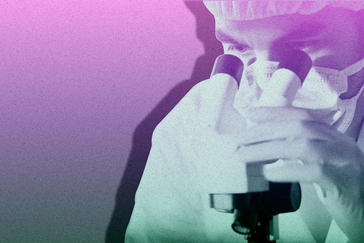 Cadmium : « L’absence de preuve “irréfutable” ne devrait jamais servir d’alibi à l’inaction »