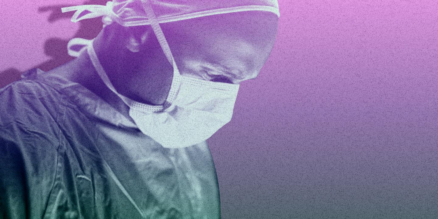Hantavirus : prévention à la source grâce aux connaissances écologiques