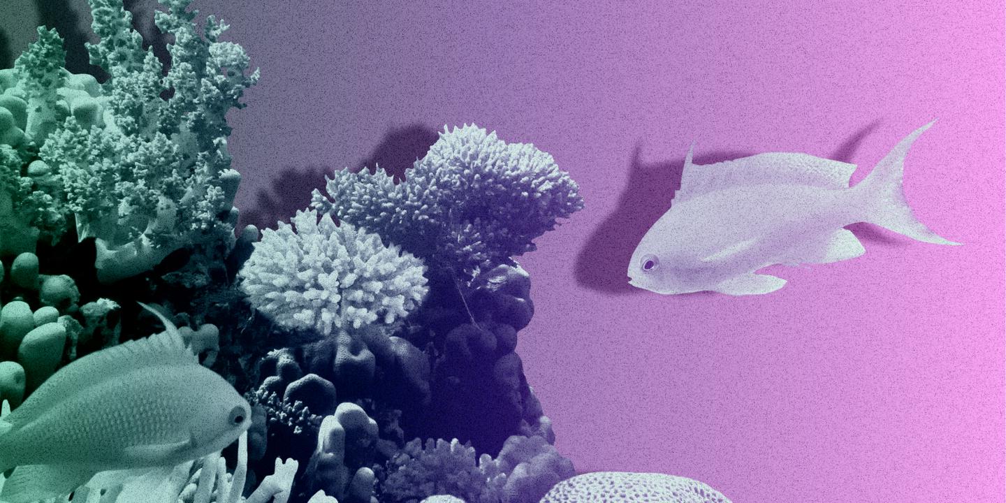 Les intérêts de la nature et des humains ne coïncident jamais entièrement