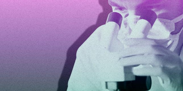 Cadmium : « L’absence de preuve “irréfutable” ne devrait jamais servir d’alibi à l’inaction »