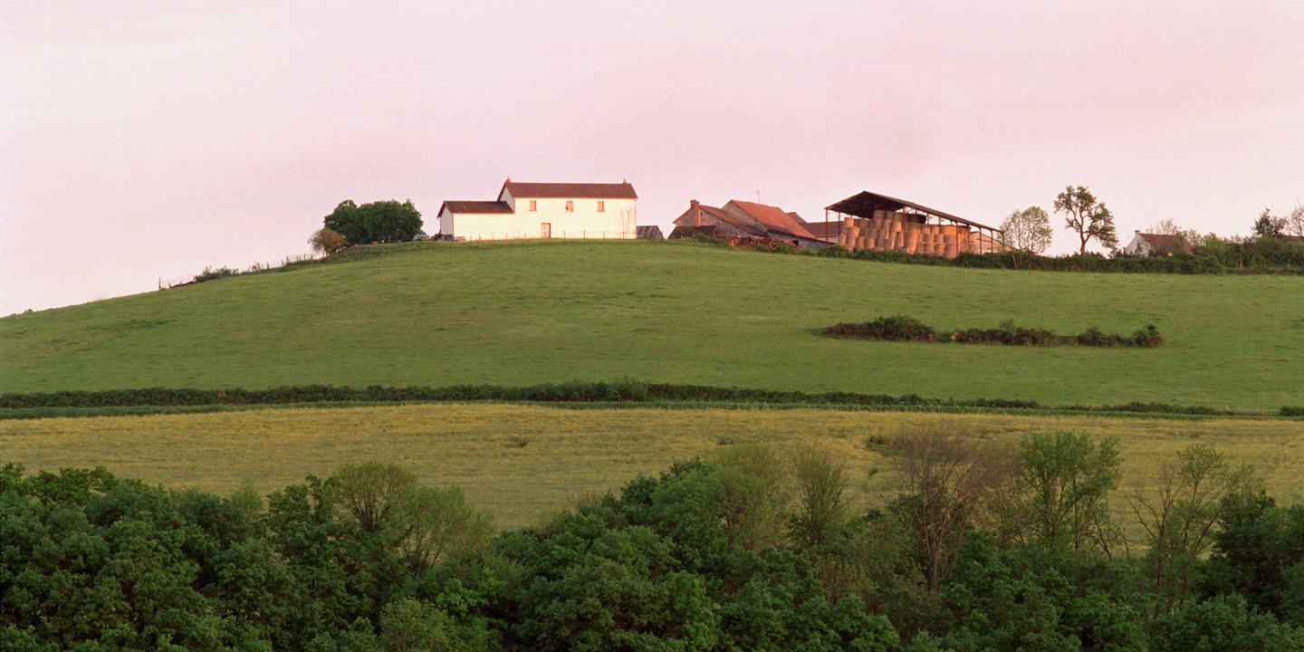 Marie-Hélène Lafon explore l'Auvergne intime dans son nouvel ouvrage Hors champ