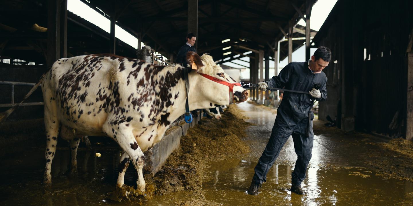 L'enseignement agricole face au dilemme productiviste : le cas du campus d'Yvetot