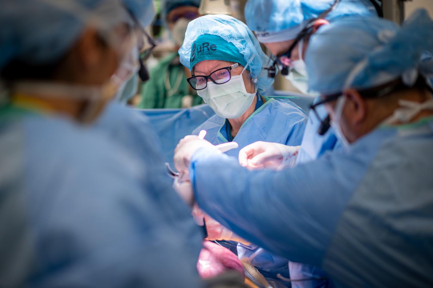 Spina-bifida : six bébés traités avant leur naissance par chirurgie et cellules souches Spina-bifida : six bébés traités avant leur naissance par chirurgie et cellules souches