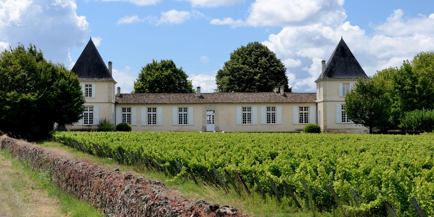 Sauternes face à la crise des vins liquoreux : les domaines se tournent vers le sec