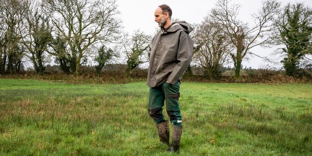 En Bretagne, la lente disparition des prairies permanentes