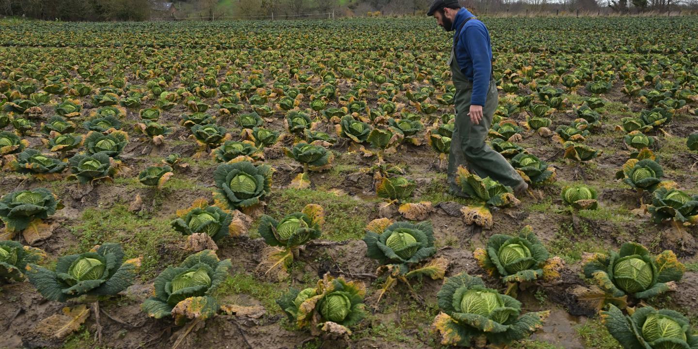 Pluies historiques en France : 40 jours consécutifs, des sols saturés et des communes sinistrées